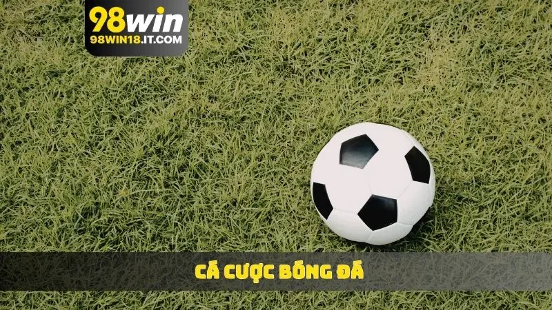 cá cược bóng đá