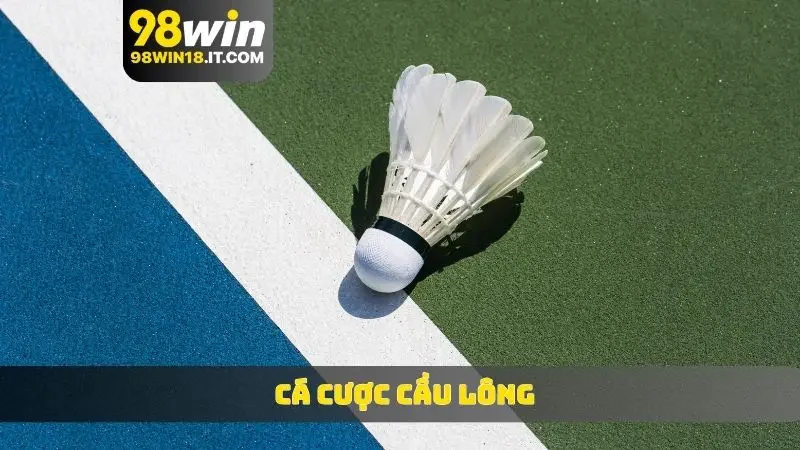 cá cược cầu lông