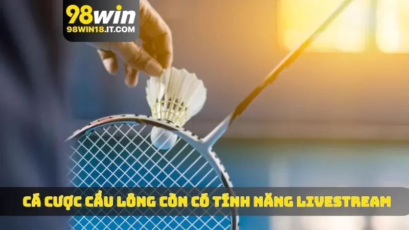 Cá cược cầu lông còn có tính năng livestream