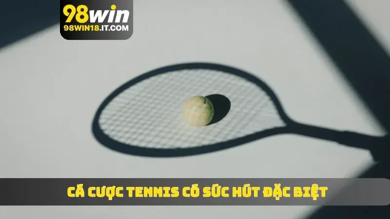 Cá cược tennis có sức hút đặc biệt không kém gì bộ môn khác