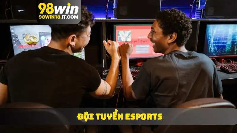 đội tuyển eSports